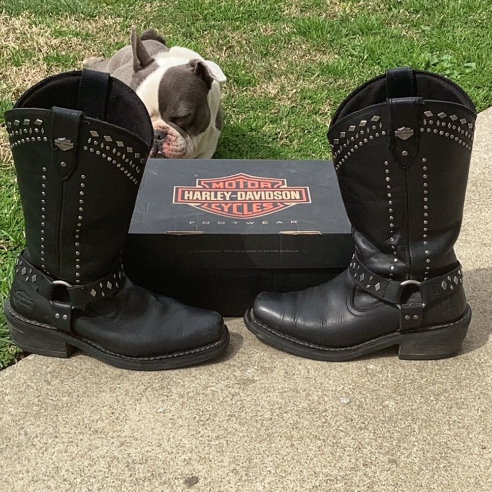 Harley Davidsons - Picture 6 of 6